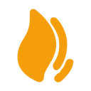 Firestore Data Manager - Firebridge